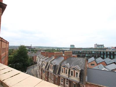 Picture 8